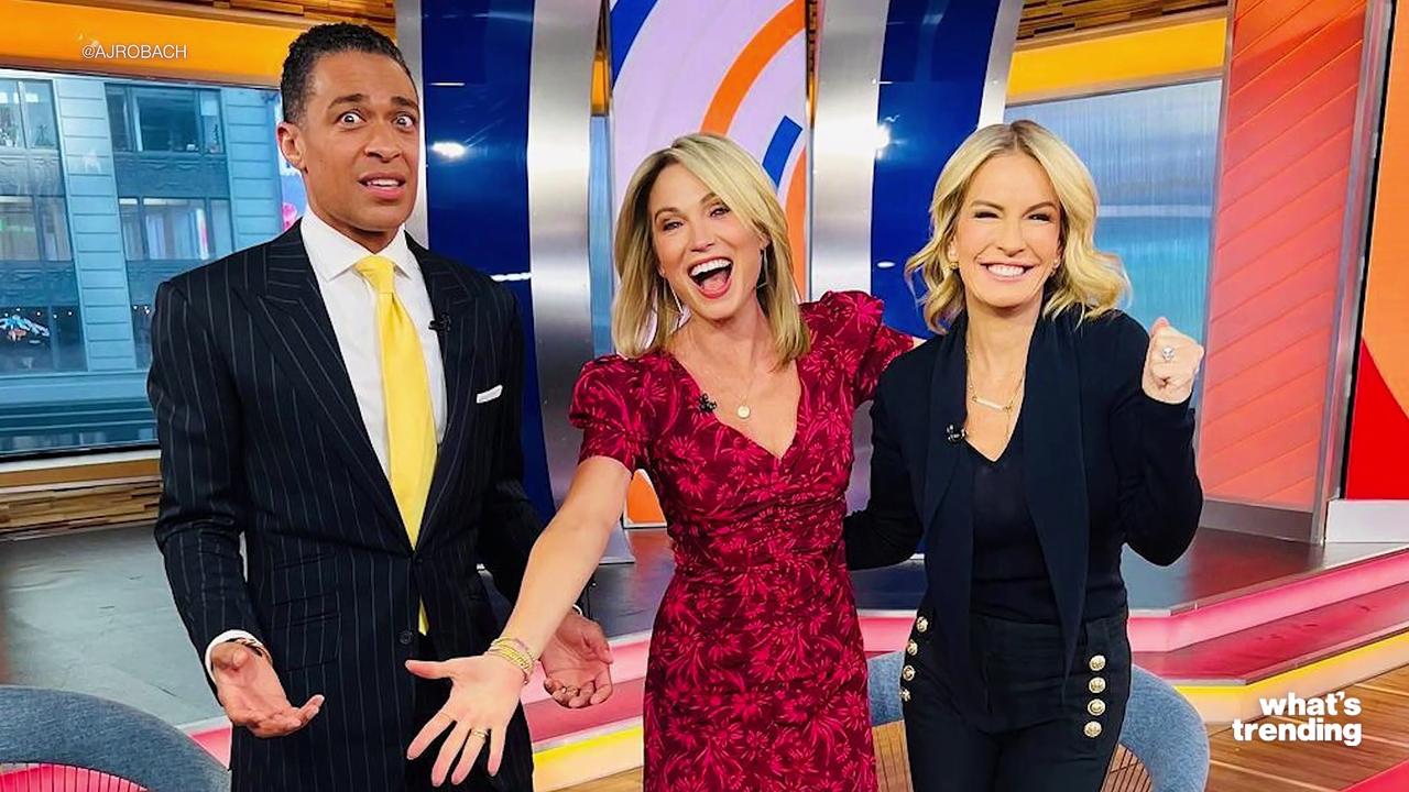 Amy Robach and TJ Holmes Prepare to Sue ABC After Scandalous Affair