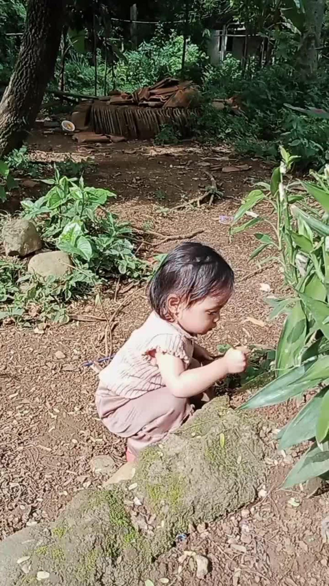 jinan playing in the garden