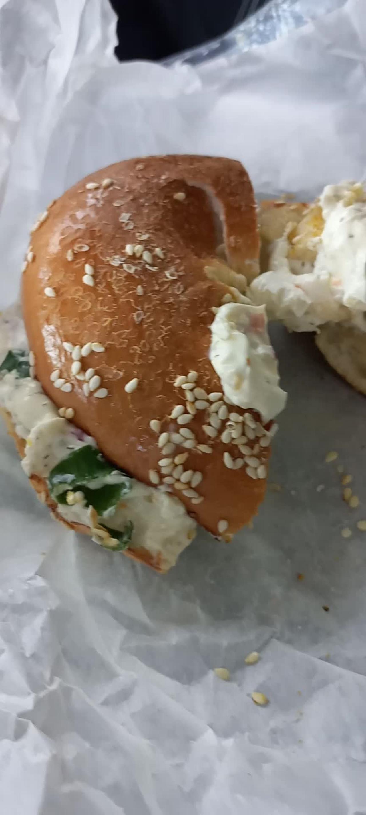 New York Bagel & Bean Tampa One News Page VIDEO