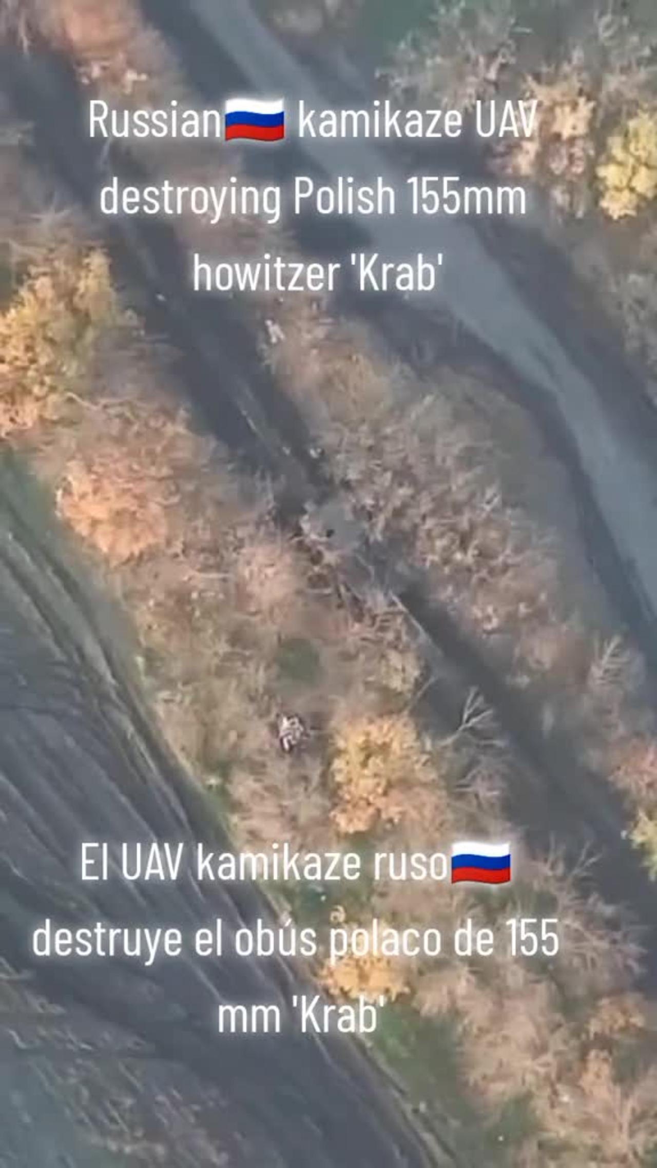 Ukrainian Polish 155mm self propelled artillery destroyed by drone