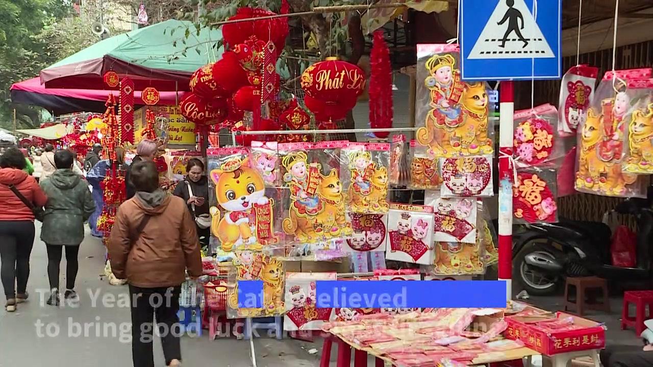 Vietnam celebrates the Year of the Cat, not the Rabbit