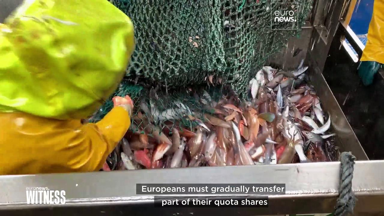 The slow death of Ireland’s fishing industry