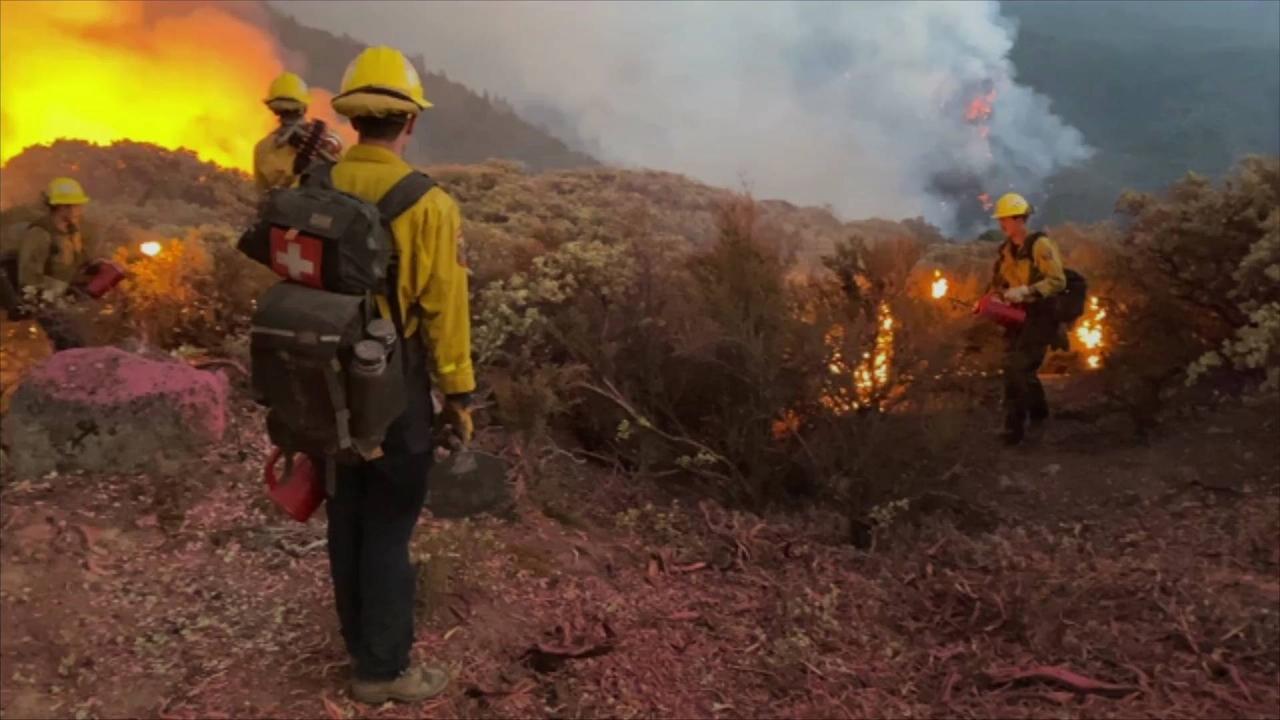 US Sets Aside $490 Million for Wildfire Mitigation Efforts