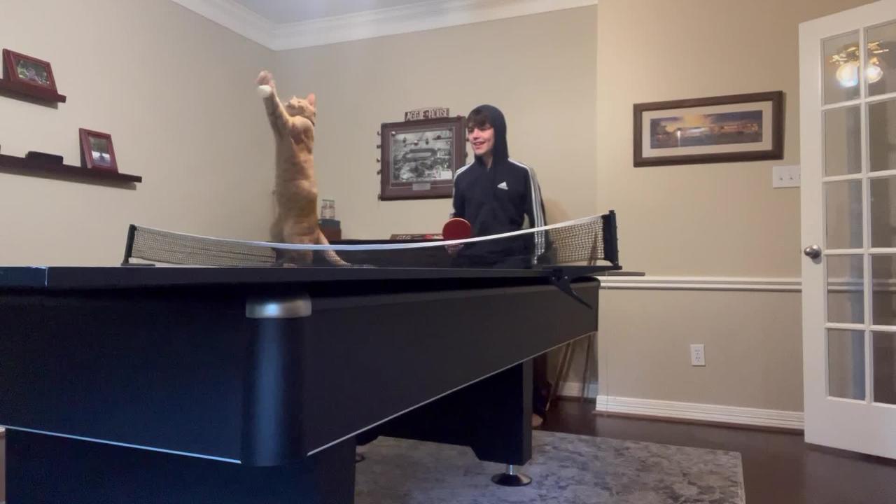 Cat is a Ping Pong Prodigy