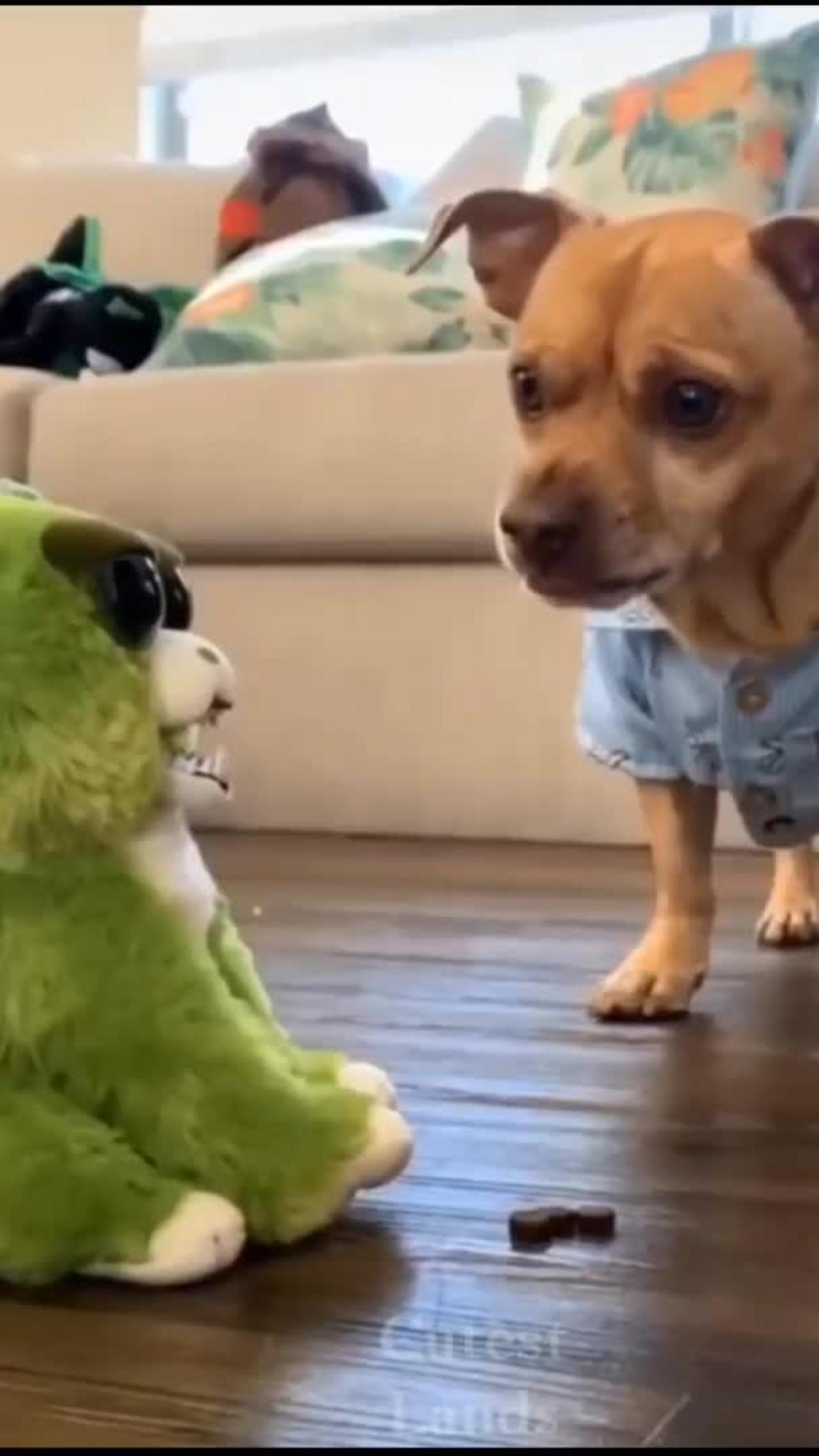 "Timid Pup Meets New Toy." or "Too Cute to Handle: Scared Puppy Meets Playtime".