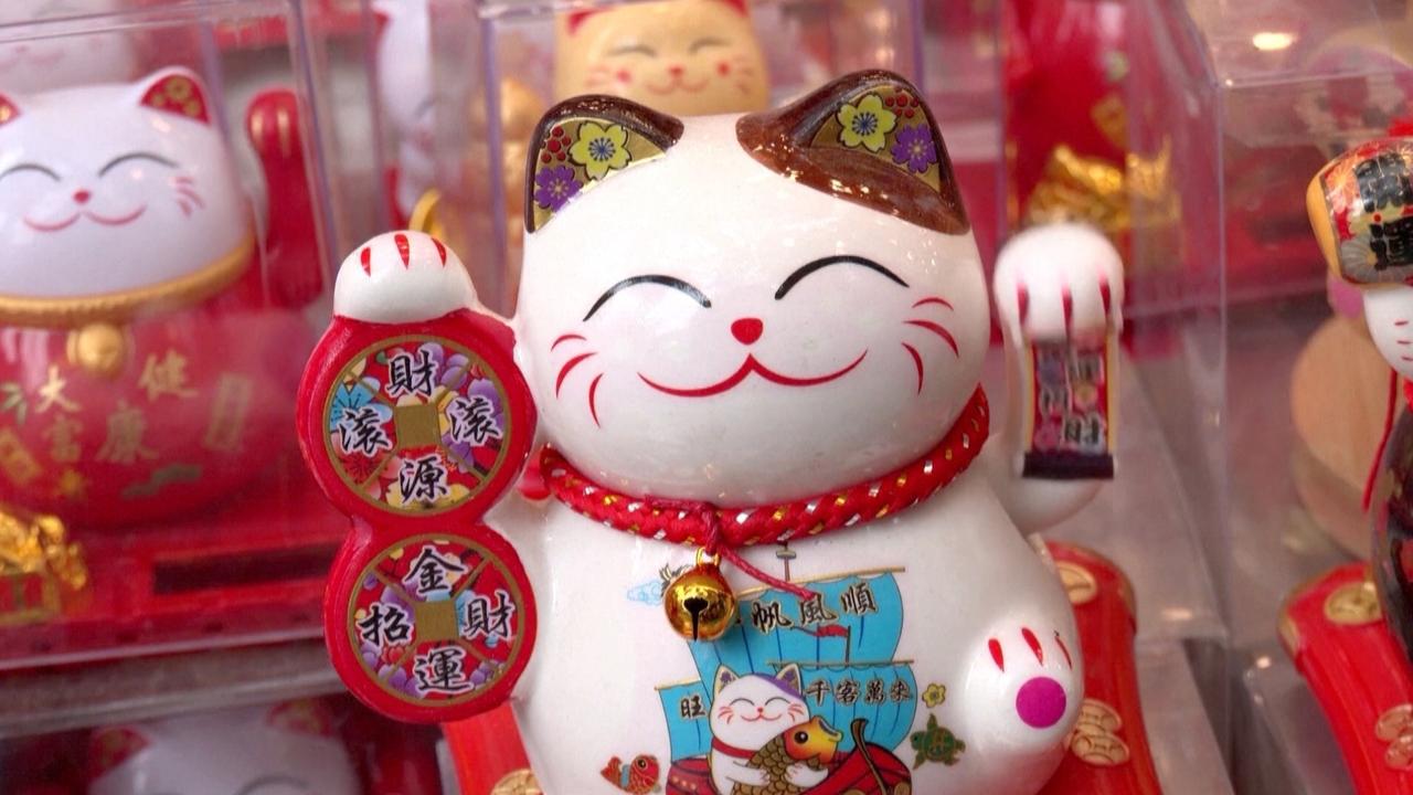 Hop off Rabbit! The Vietnamese Celebrate the Year of the Cat