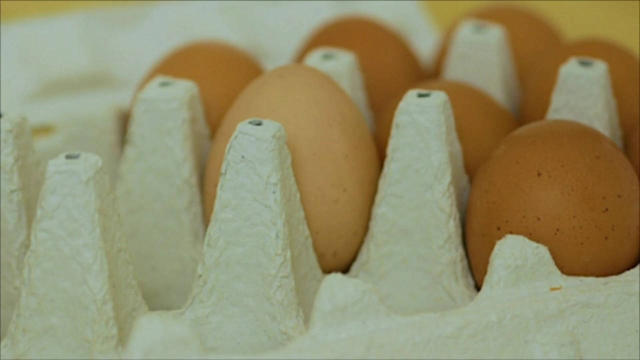 US Customs Agents Seize Eggs at the US-Mexico Border
