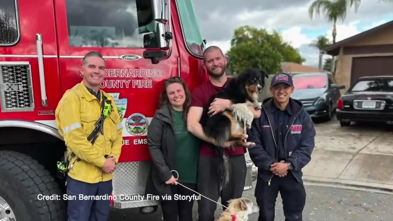 Dog rescued after being swept into storm drain in southern California