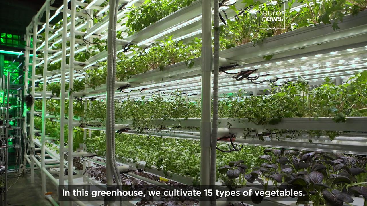 Meet the futuristic farmer growing vegetables vertically in Georgia