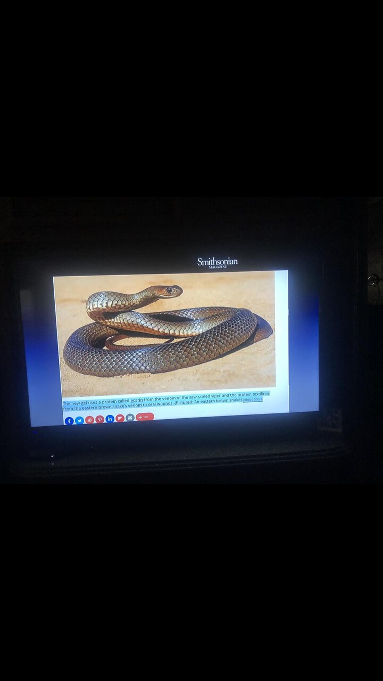 Dr Ardis COVID Updates Proof Snake Venom in Jab, Miami Nurse Informs About Lockdowns Next Week!!