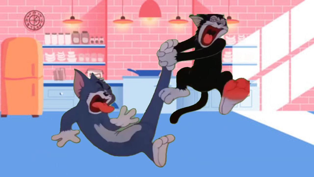 Tom & jerry | Tom Jerry & Black Cat Fight | Tom & Jerry in Full Screen | Classic Cartoon Compilation