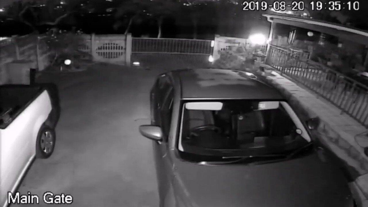 Home invasion by armed criminals in Durban, One News Page VIDEO