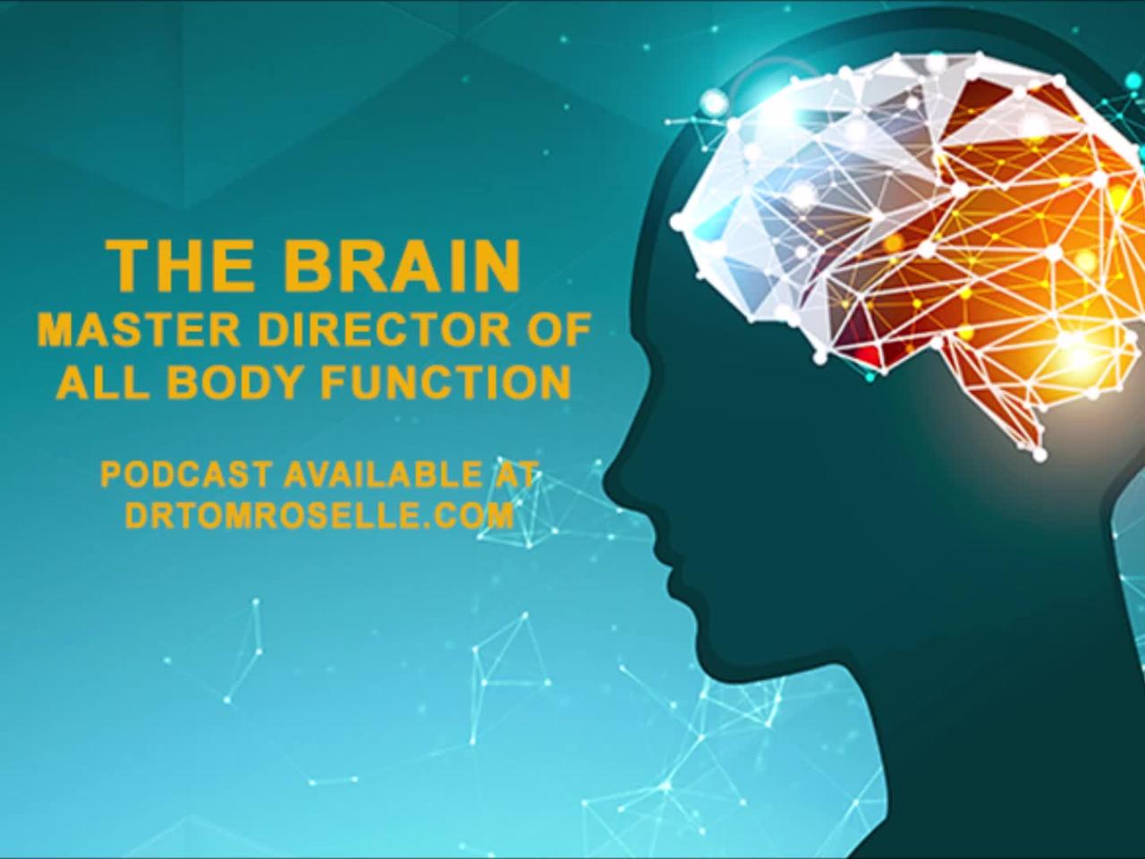 The Brain - The Master Director of All Body Functions