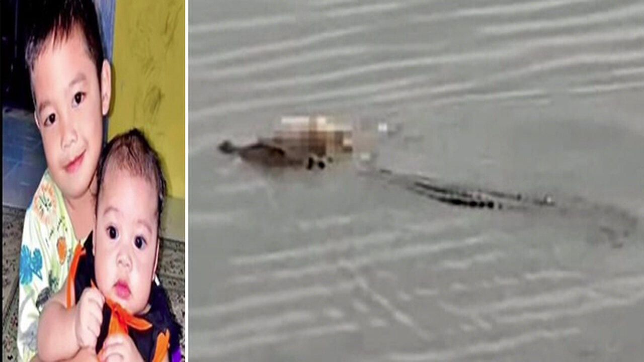 Extraordinary Moment: Crocodile Carries Intact - One News Page VIDEO