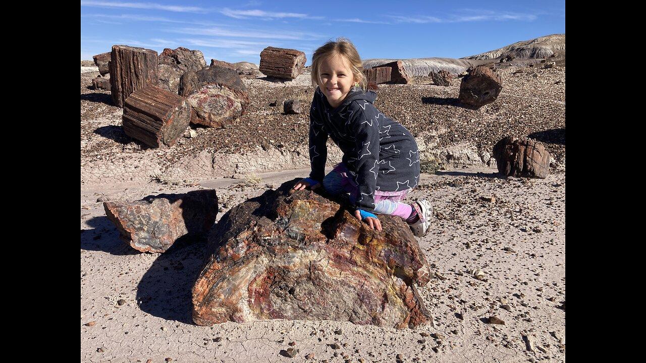 Bryce Canyon and Petrified Forest National Park