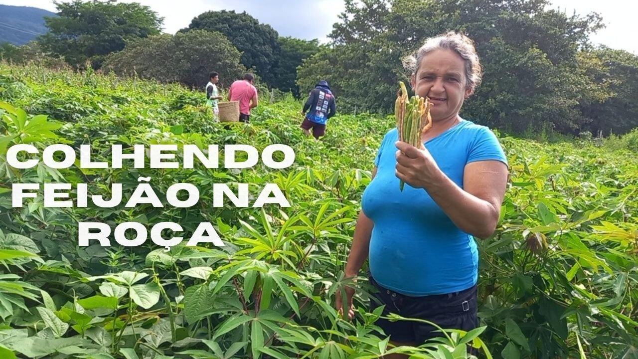 DONA MARIA DE FÁTIMA - UMA AGRICULTORA FELIZ | RAIZES DO REI | BRASIL BR