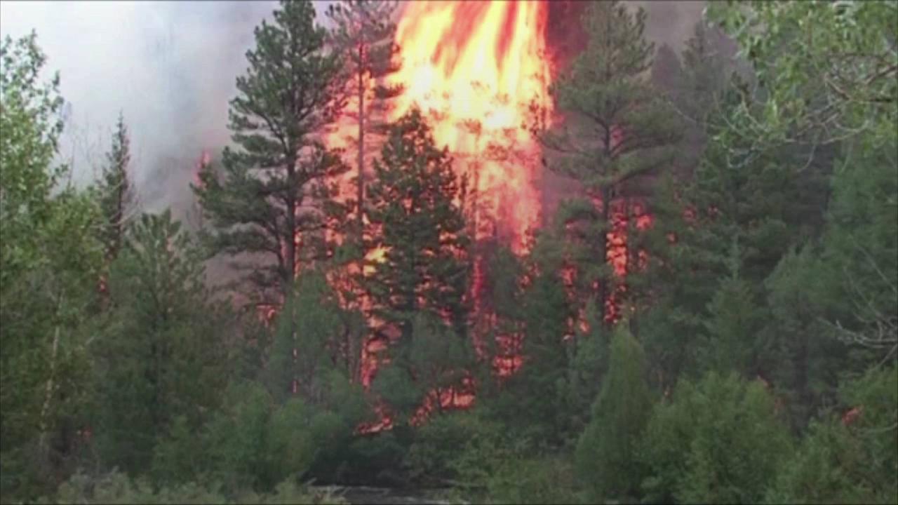 Colorado Looks to Artificial Intelligence to Prevent Forest Fires