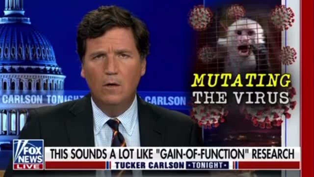 Tucker Carlson: Covers the Bombshell Project Veritas video of the Pfizer Director!