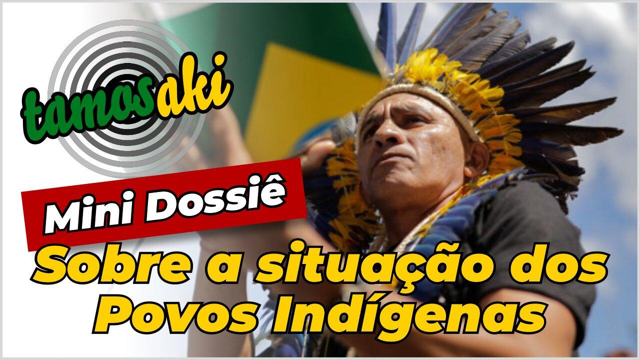 Mini Dossiê sobre a situação dos Povos Indígenas