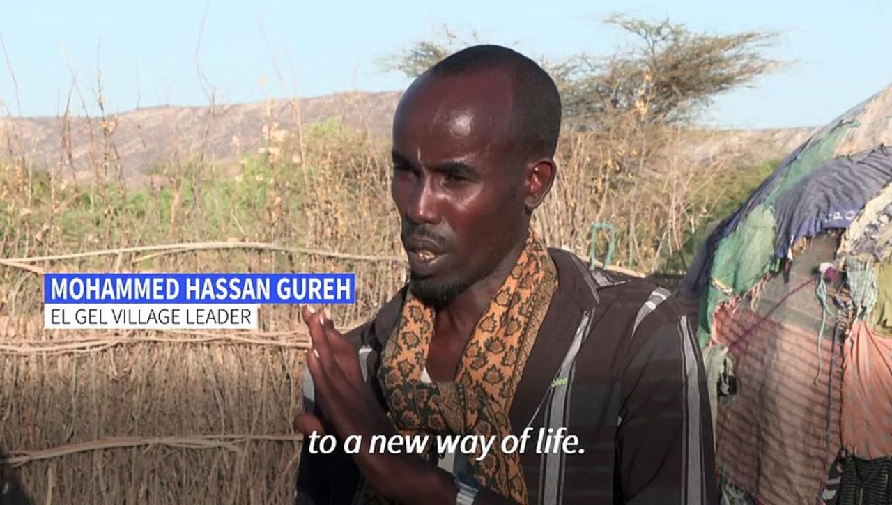 Nomadic herders struggle in drought-hit Ethiopia