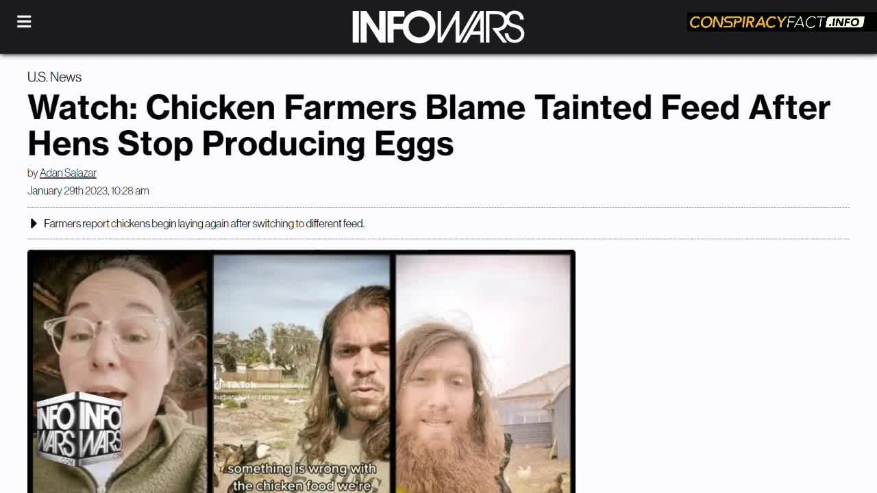 Largest Chicken Farm Burns To Ground With One News Page VIDEO