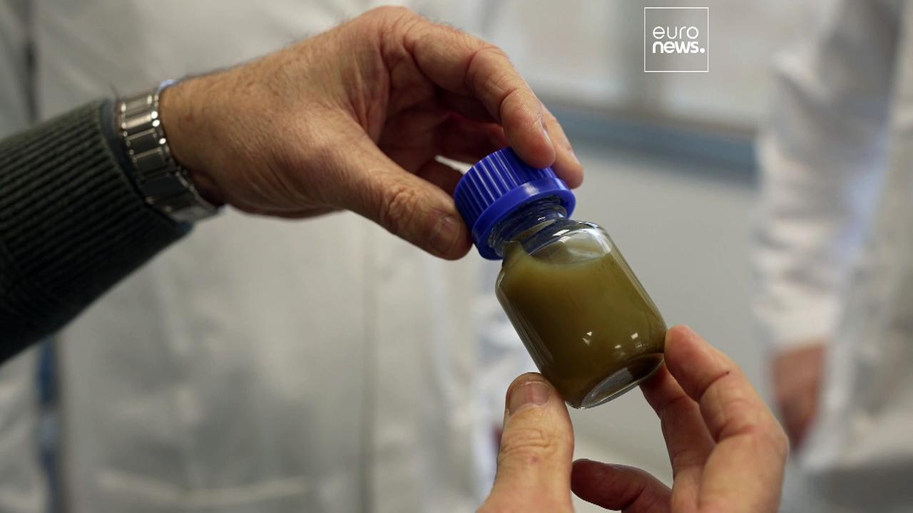 Meet the French researchers using microscopic algae to tackle plastic pollution