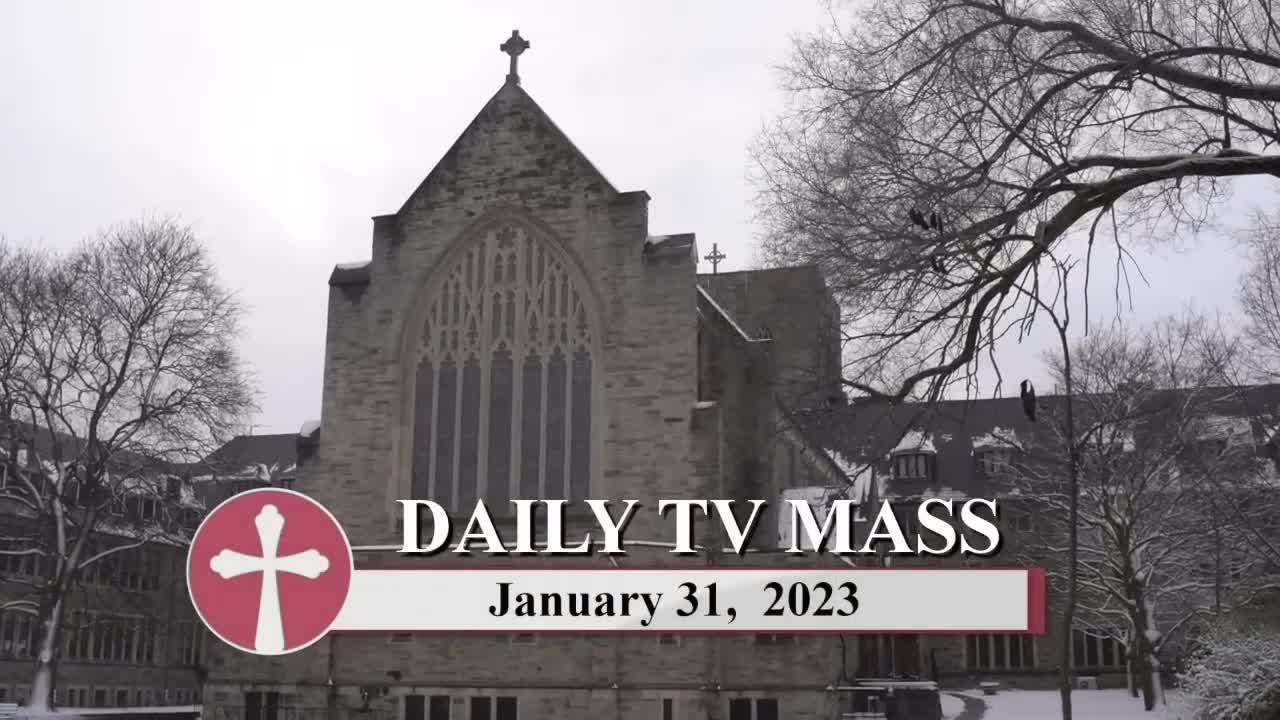 Catholic Mass Today Daily TV Mass, Tuesday One News Page VIDEO