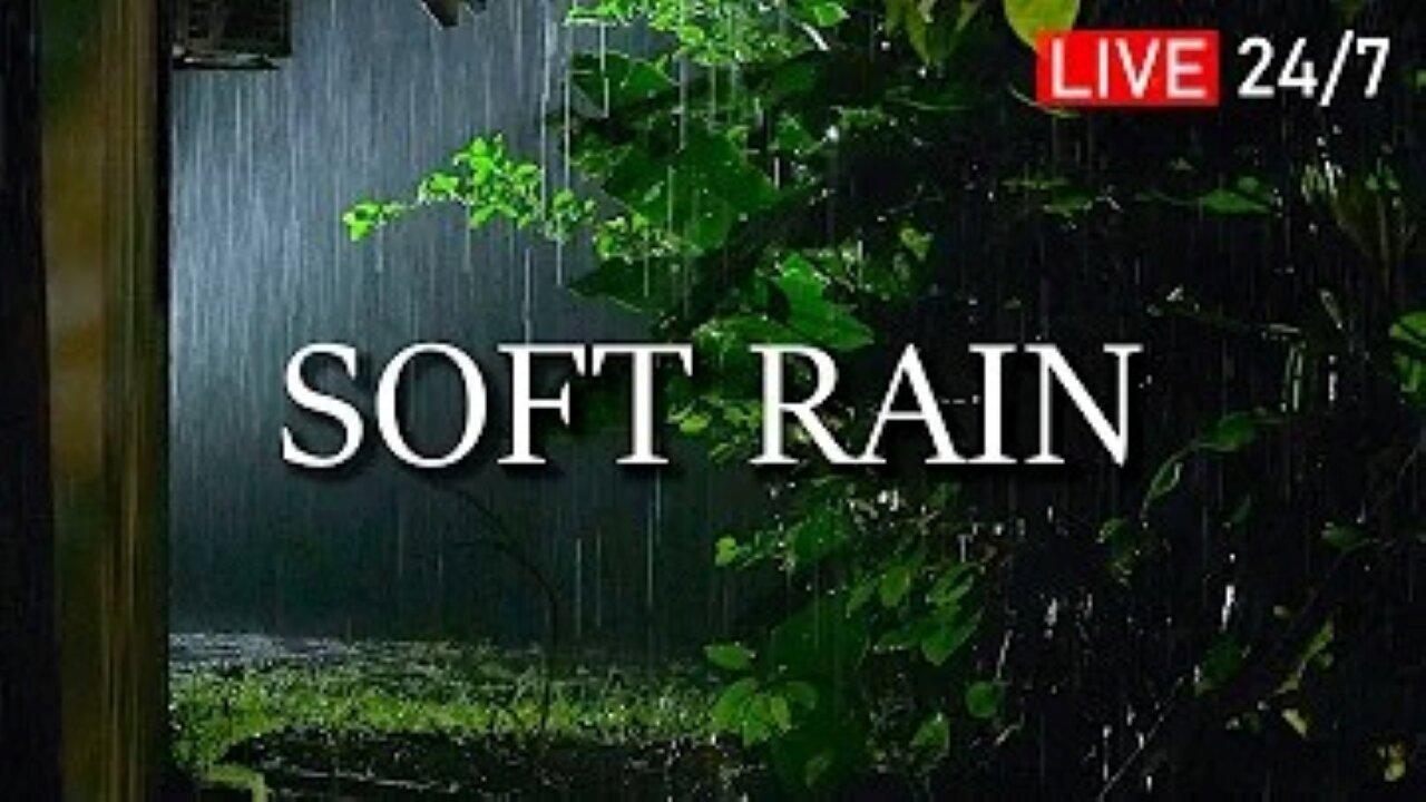 🔴 24/7 🎧🔴 24/7 soft sound of rain fall asleep in 10 minutes, lullaby, insomnia solution, ASMR