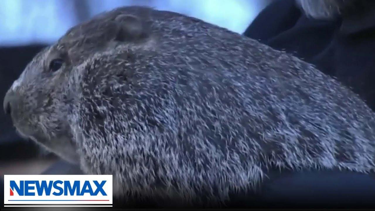 BREAKING: Groundhog 'Punxsutawney Phil' makes annual prediction
