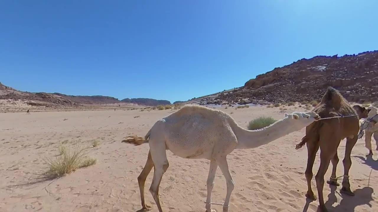 Sahara Desert, Algeria.
