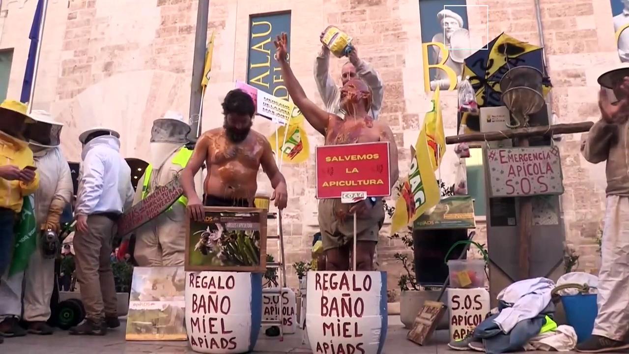 Sticky situation: Spanish beekeepers bathe themselves in honey to demand help for ‘dying’ sector
