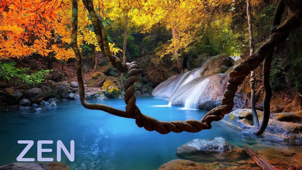 Zen Music and Sounds of Nature - Remove Stress and Rest the Mind