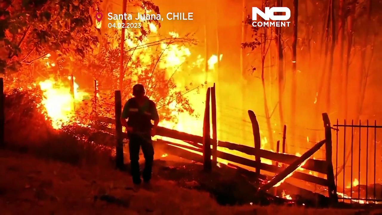 Watch: Chile's emergency services battle deadly forest fires