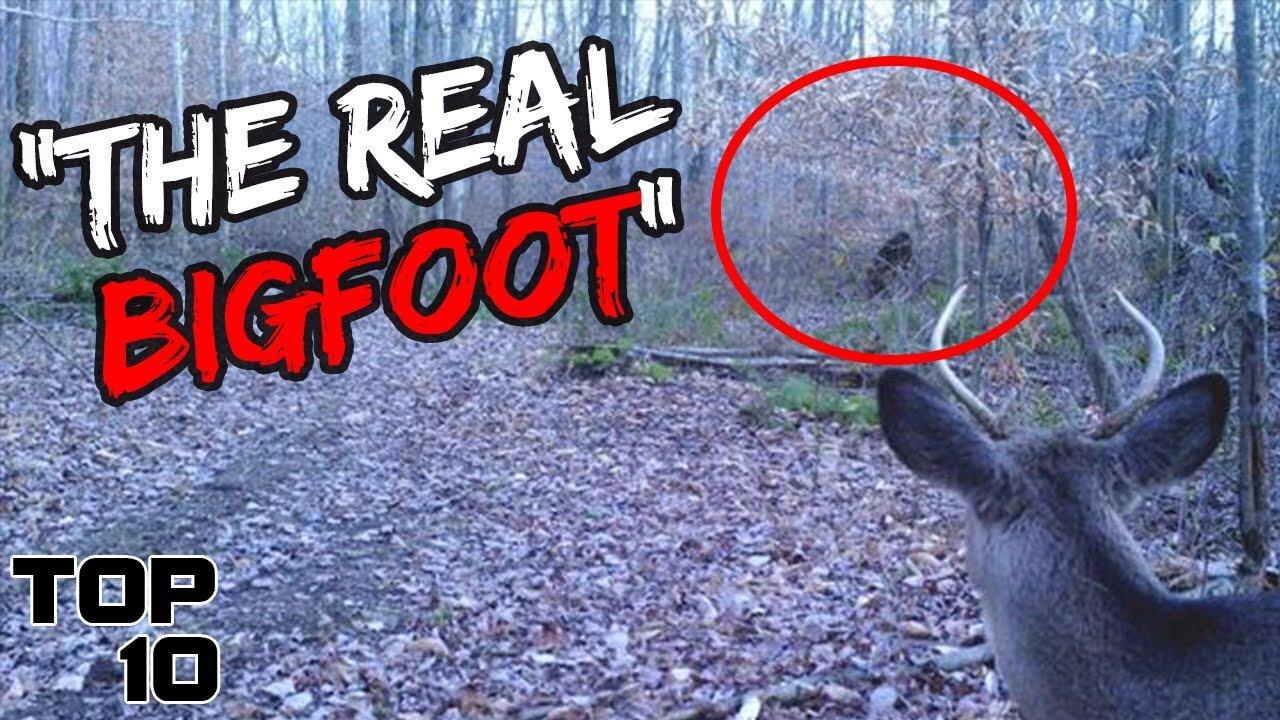 Top 10 Concerning Bigfoot Evidence The Government Is Hiding From Us - Part 4