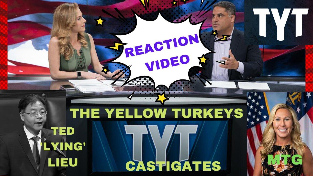 REACTION VIDEO TYT Investigates MTG-Ted "Lying" Lieu Makes Baseless Argument Gas Prices MadeA Profit