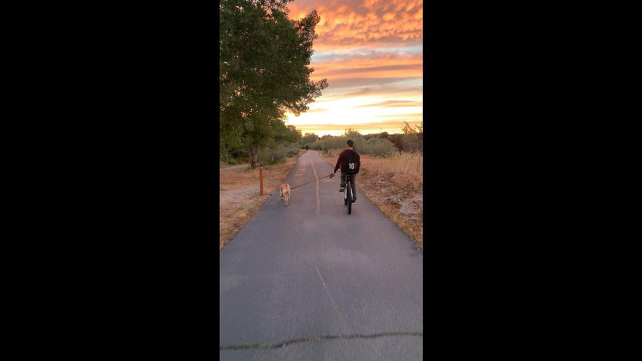 Paw Patrol on Two Wheels: A Sunset Bike and Dog Walk