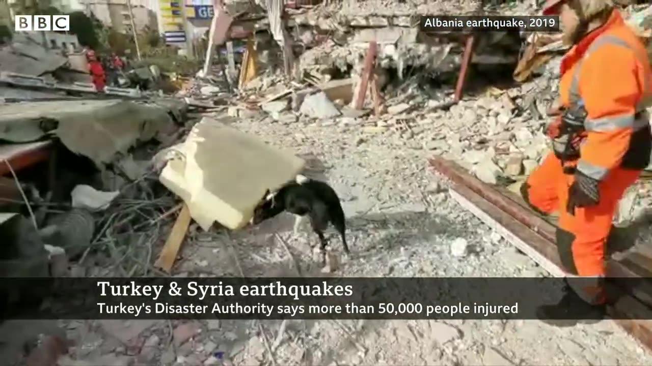 Turkey-Syria earthquake aid efforts bolstered by search and rescue dogs – BBC News