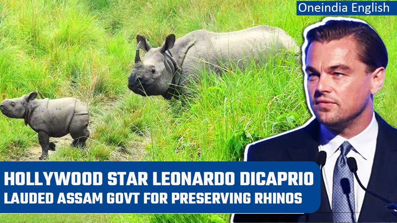 Leonardo Dicaprio lauded Assam government for preserving one horn rhino | Oneindia News