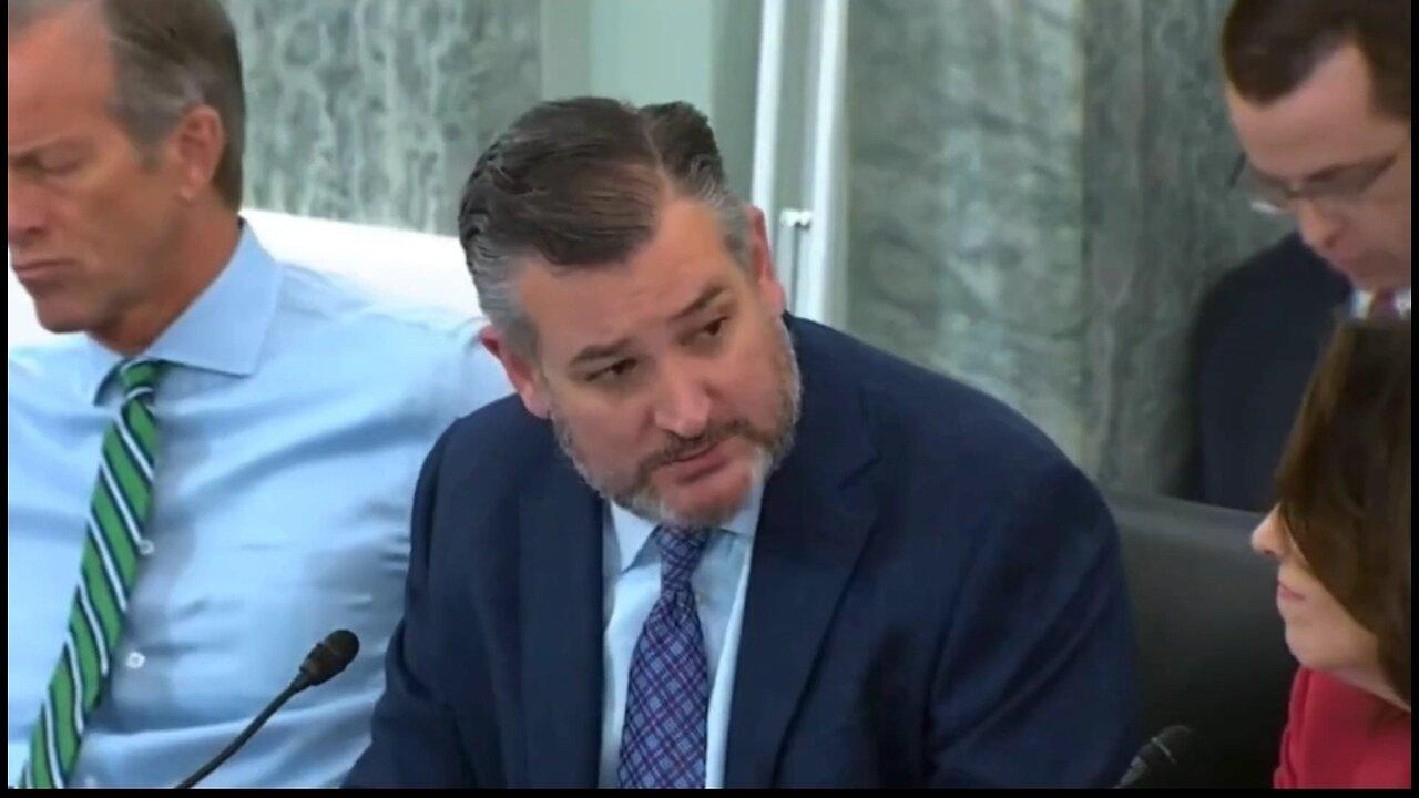 Sen Ted Cruz Exposes Biden S Fcc Nominee One News Page Video