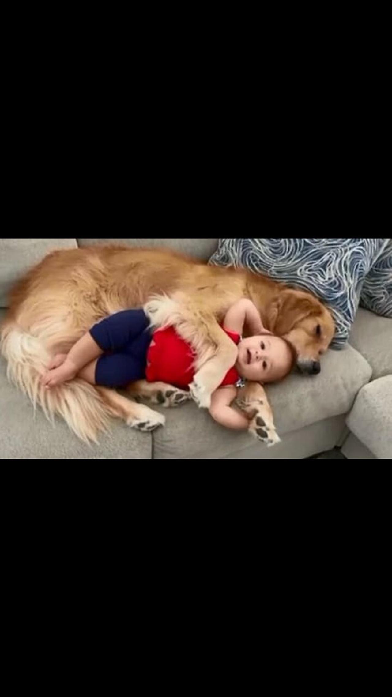 Adorable baby and the cute dog