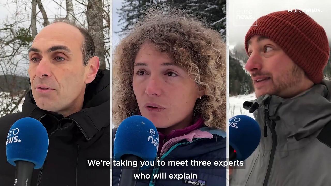 Chartreuse Mountains: Watch what's happening to this French ski town as global warming takes hold