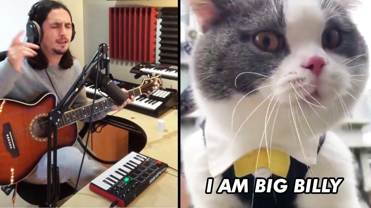 Big Billy (Singing Cat) One News Page VIDEO