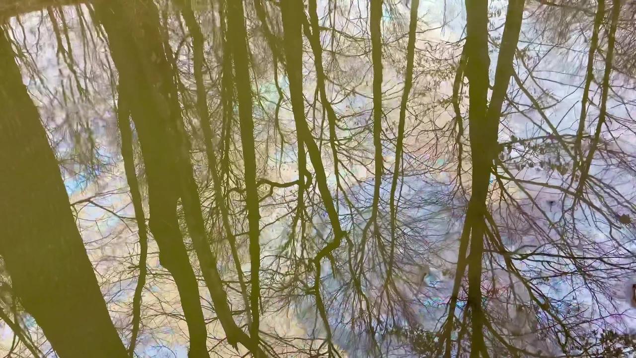 The Crazy Contaminated Water in East Palestine, One News Page VIDEO