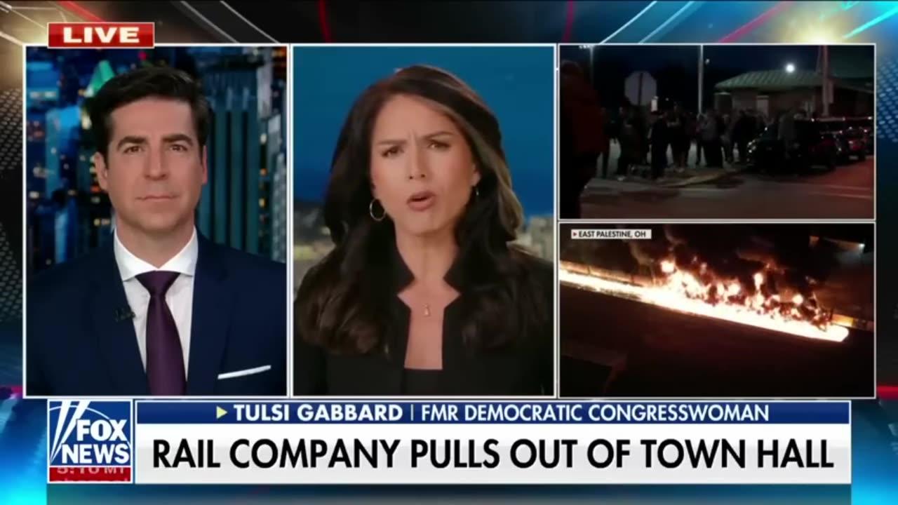 Tulsi Gabbard- Biden's government doesn't care about this 'massive catastrophe'