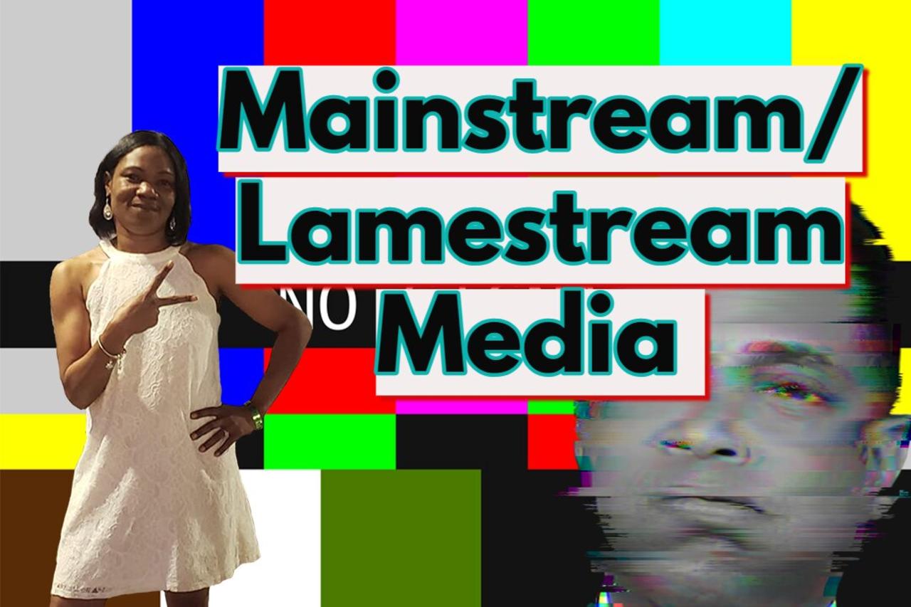 The Mainstream/ Lamestream Media and More... Real News with Lucretia Hughes