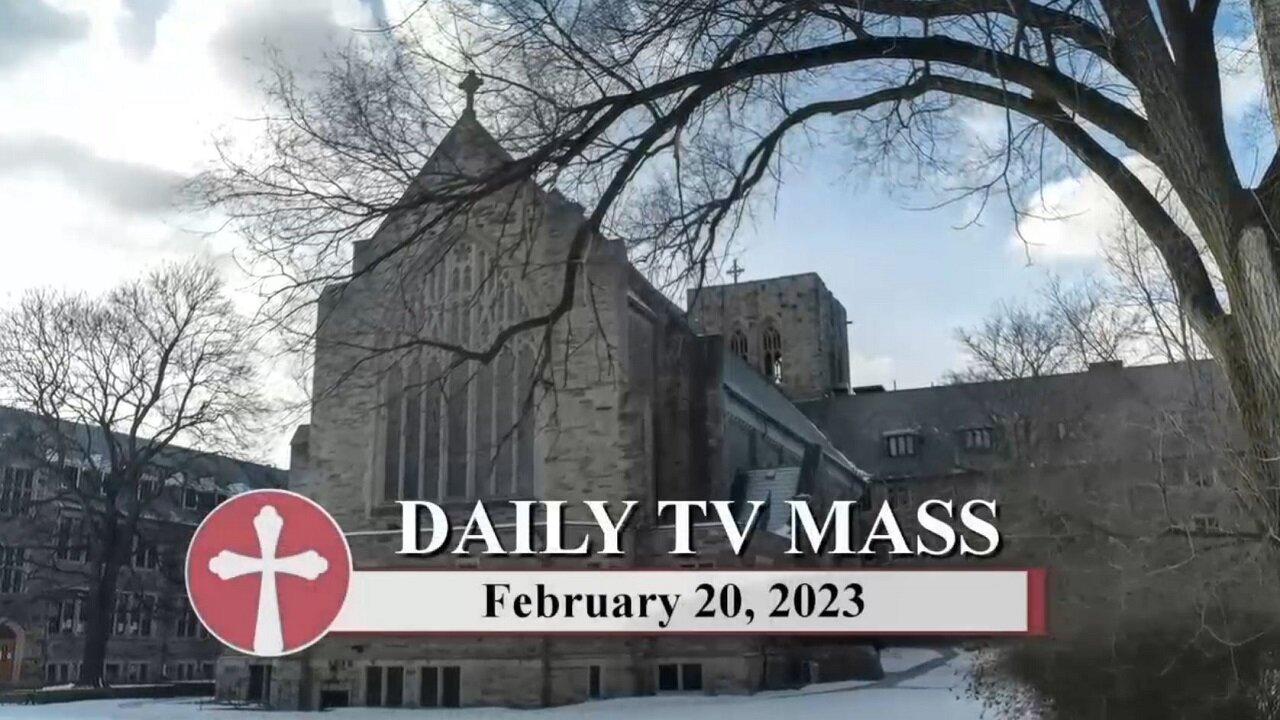 Catholic Mass Today | Daily TV Mass, Monday - One News Page VIDEO