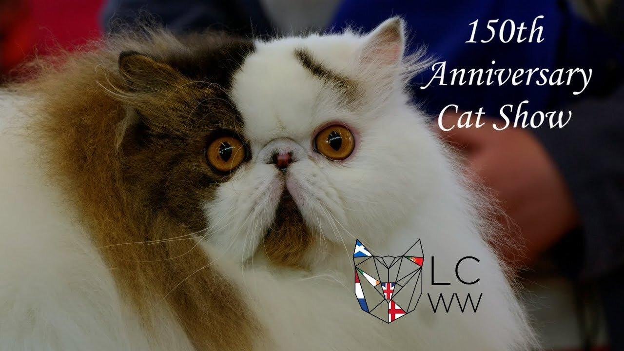 150th Anniversary of Cat Showing - LCWW show at Crystal Palace, UK