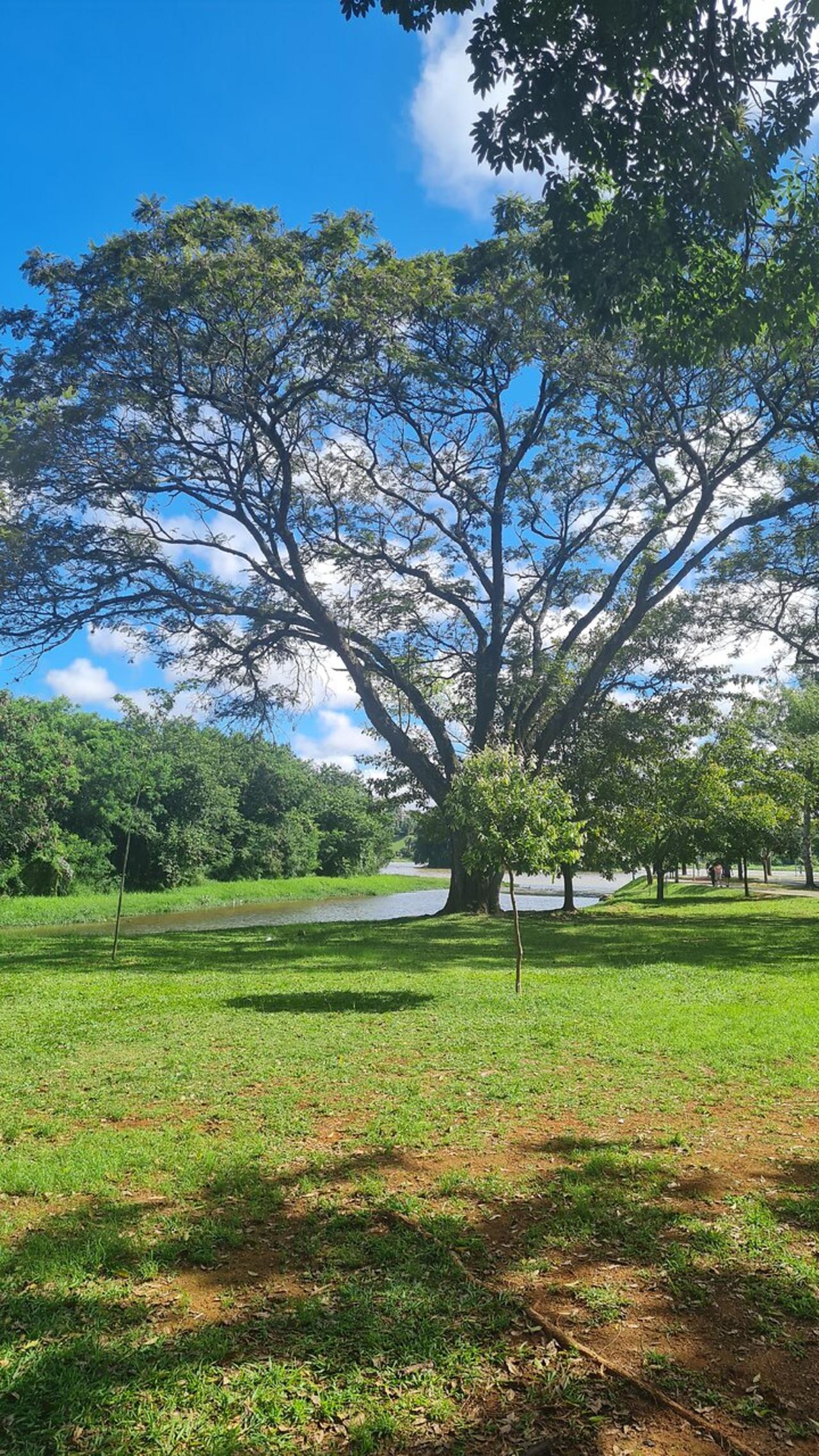 JARDIM BOTÂNICO de BH
