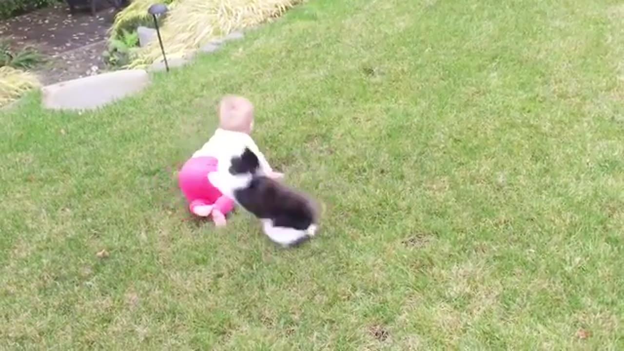 Baby and Cat Fun and Cute - Funny Baby Video