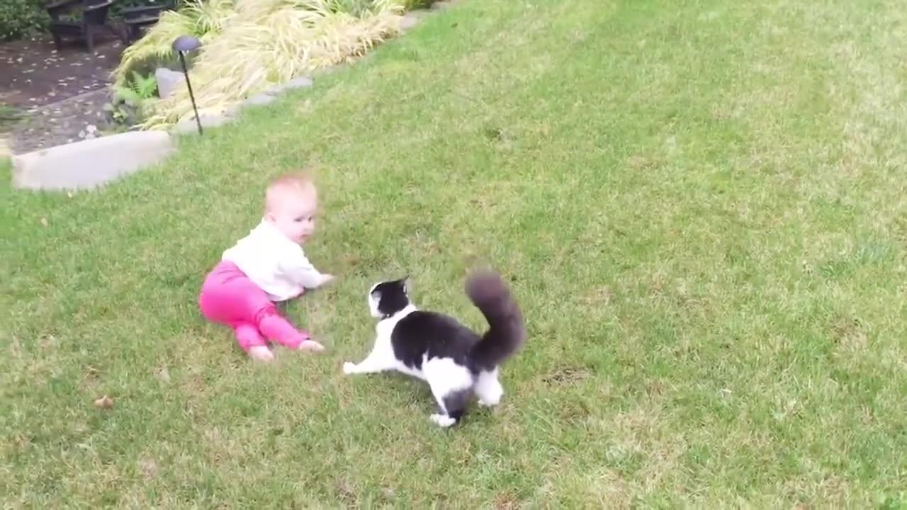 Funny baby videos with cat